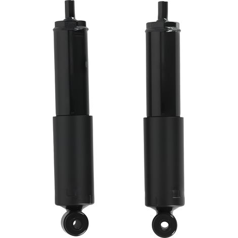 Ammortizzatori Pressione Gas Posteriore for Vw Transporter T4 Sinistro Destro (1/5)