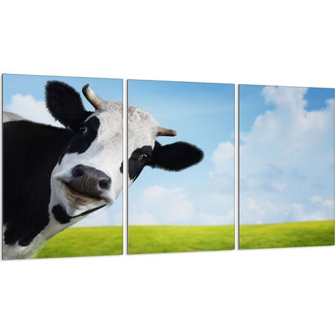 Glasschutzplatte für Herd 3x30x52 (1/5)