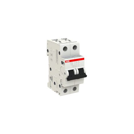 Disjoncteur S200 2P C 25 6kA - ABB2CDS252001R0254