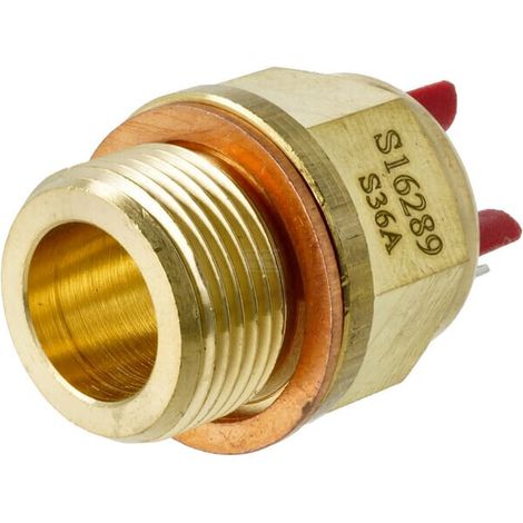 Interrupteur thermique GIANNI FERRARI 0054100056