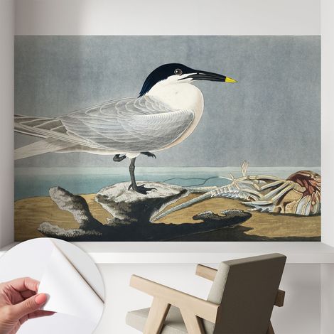 Papier peint autocollant décoratif à motifs pour salon chambre et bureau Tapete adhésif pour décoration Élégance ornithologique 104x70 cm (1/5)