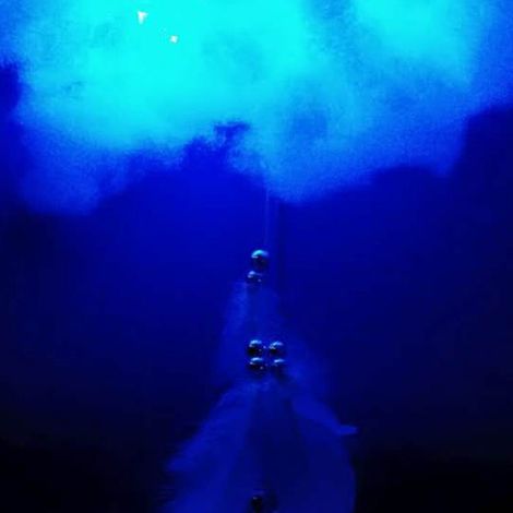 Hängende Lichterdekoration – Innovatives DIY-Hängelampen-Set – Seeblaue Federn mit Lichtern (1/5)