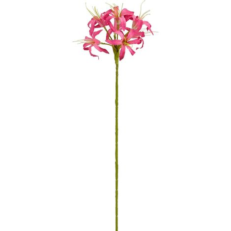 Mica Decorations Kunstpflanze Nerine dunkelrosa 59 cm Pflanze