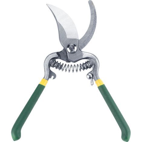 Garden FutureCiseaux de Jardin Professionnels pour Taille de Fruitiers - Précis et Ergonomiques - Idéal pour l'Entretien du Verger - Qualité Supérieure - KZQ (1/2)