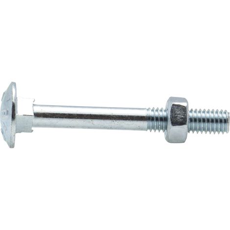 Boulon zingué TRCC Viswood Ø6x30mm (lot de 9 boulons)