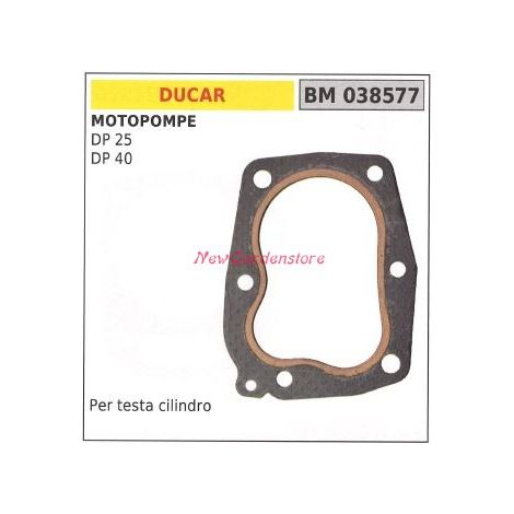Guarnizione testata DUCAR motopompa DP 25 40 038577