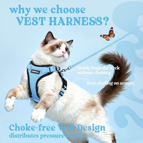 Harnais pour chat Rabbitgoo, taille S, bleu clair, réglable et réfléchissant, gilet respirant avec laisse