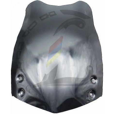 Déflecteurs d'air pour pare-brise avant BMW F 650 GS (2006-2004) - Noir (1/4)