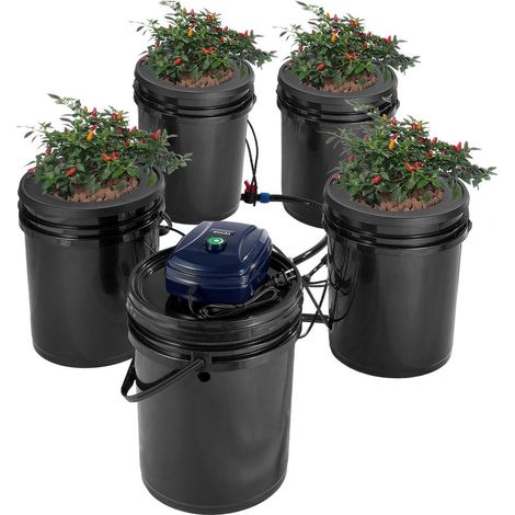 Système Hydroponique RDWC à Recirculation Kit 4 Seaux 20L avec Pompe à Air et Goutte à Goutte pour Légumes (1/5)