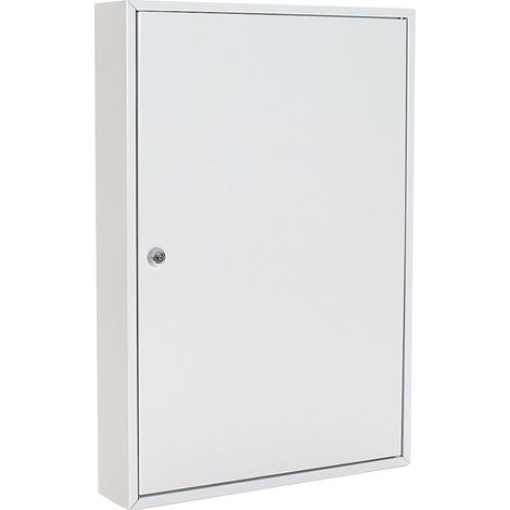 Schlüsselschrank S 100 H550xB380xT80mm 1-türig Zylinderschl.Anz.Hak.100 ROTTNER (1/5)