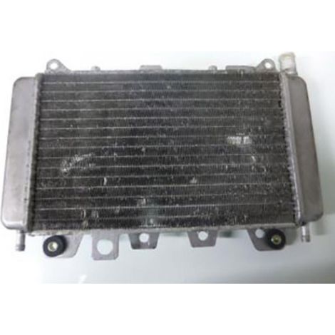 [PRODUIT D'OCCASION] Radiateur de refroidissement origine pour scooter Piaggio 125 X9 (1/2)
