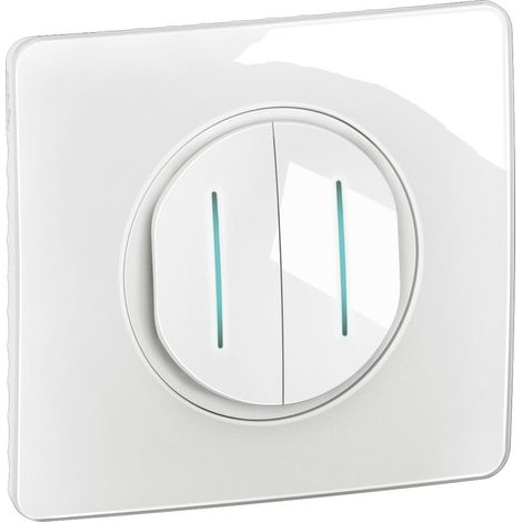 Legrand – Double interrupteur témoin va-et-vient complet – 250V 10A – Pour intérieur – Compatible gamme Céliane – Dimensions 80x80mm