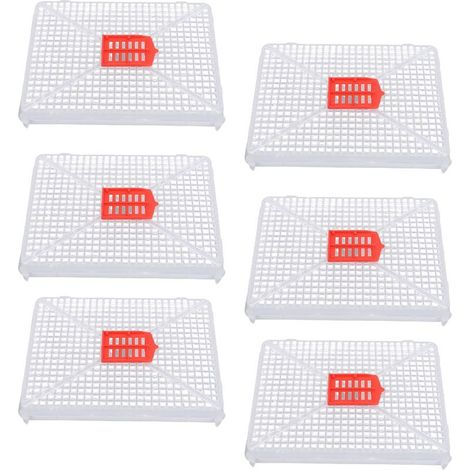 6 cages pour introduction artificielle de reines en plastique à fermeture carrée – Pour élevage apicole, contrôle de la ponte et isolation temporaire (6 cages) (1/5)