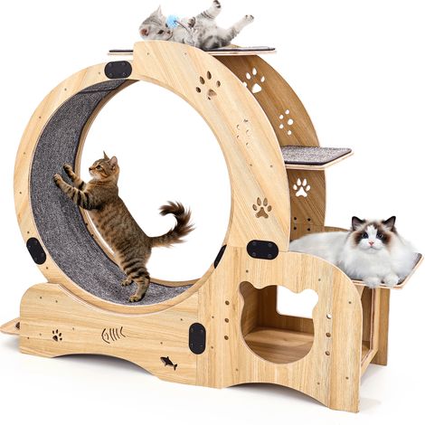 Roue d’exercice pour chat 6-en-1, meuble pour intérieur, base stable, bois naturel