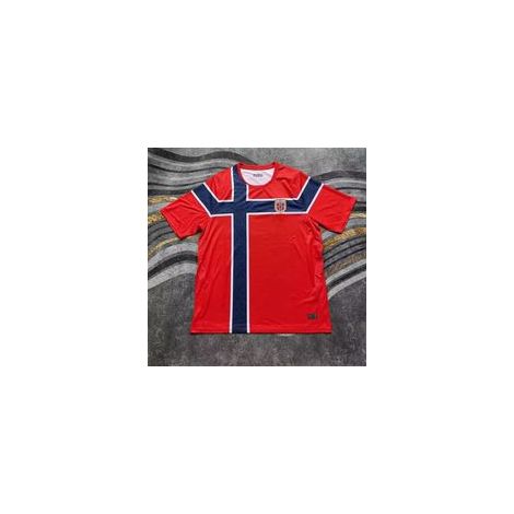 Maillot de la Norvège pour la Coupe du Monde (extérieur/domicile) — Taille adulte — Équipement de football — Tenue d'entraînement (S) — Vêtements pour supporters de la Coupe du Monde (1/2)