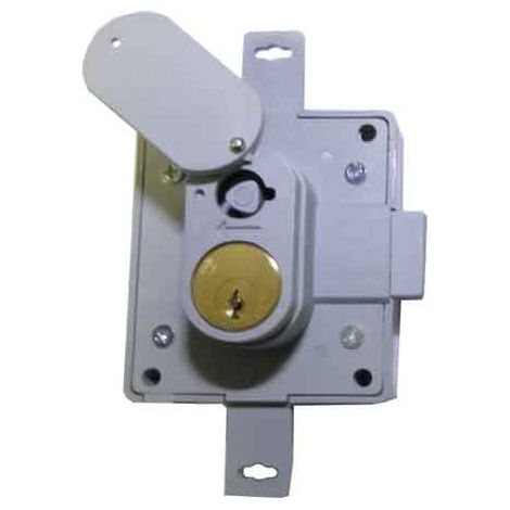 Serratura di Ricambio per Cassette Contatore (1/2)