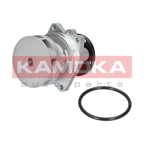 Bomba de agua Kamoka T0059 (1/4)