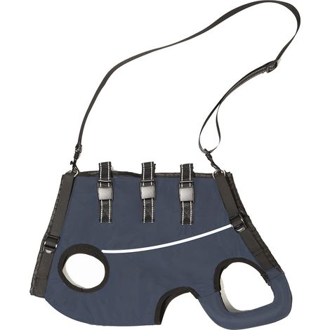 1 Ceinture d'assistance pour chien âgé, harnais de soutien arrière, aide à la marche, mobilité réduite (1/5)