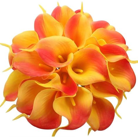 24 Pcs Lys Calla Latex Artificiel, Bouquet De Fleurs De Lys Calla Réaliste À Tige Unique pour La Maison, Fête, Bureau, Décoration De Mariage, Arrangements Floraux (Sunset Red) (1/5)