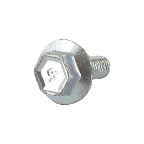 Vis pour grille de protection d'échappemet BRIGGS ET STRATTON 790745