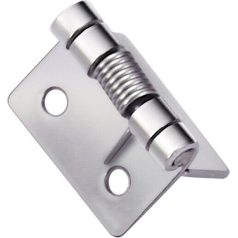 royaluxe -2 pièces charnières à ressort à ouverture fermeture automatique, charnières de porte à ressort en acier inoxydable 304, charnières à fermeture automatique pour portes invisibles(5cm) (1/5)