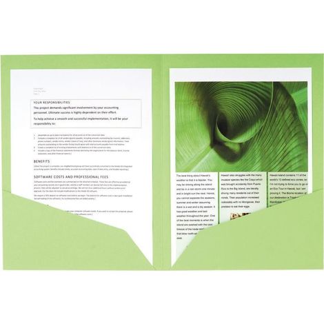 Exacompta 415000E fichier Carton Multicolore A4 (1/2)