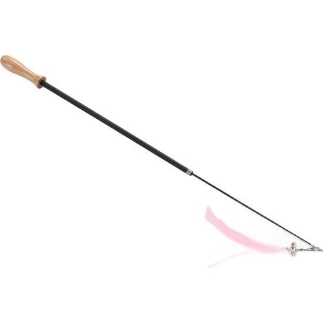 Baguette à plumes interactive rétractable pour chat avec clochette rose (1/5)