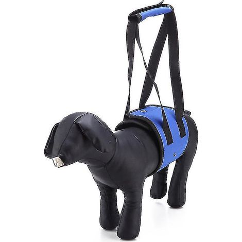 Blue Dog Sling Hinterbeinhebegeschirr – Assistenzgeschirr für ältere Hunde mit Mobilitätsproblemen und Arthritis (1/5)
