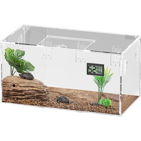 1 Terrarium Acrylique Transparent, Vue 360°, Couvercle Verrouillable, Pour Reptiles Insectes Araignées