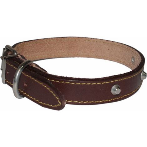 COLLARE CANE CUOIO CON BORCHIE 35MM (1/2)
