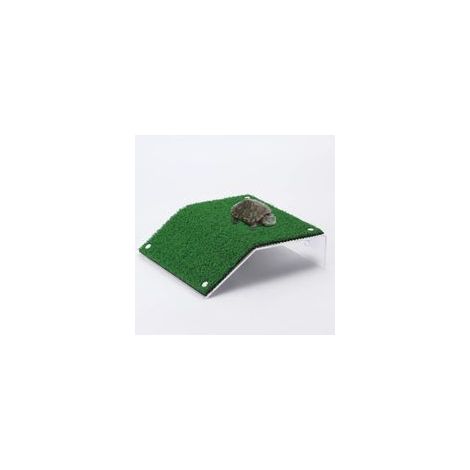 Plataforma de aprendizaje para tortugas, escalera de escalada real para pequeños reptiles, 20 x 21 cm