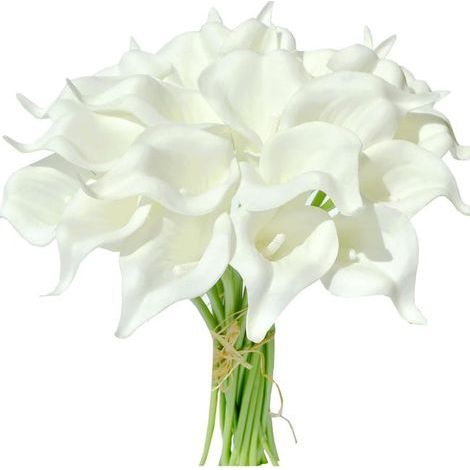 20 lys calla blancs, pour un bouquet de mariage, pour la maison, mariage. 20 lys calla blancs, pour un bouquet de mariage, pour la maison, mariage (1/5)