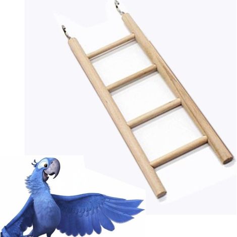 Trade Shop - NATURAL LEGNO SCALA FÜR CREDIT PAPPAGALLS 20CM MIT GANCI - (1/2)