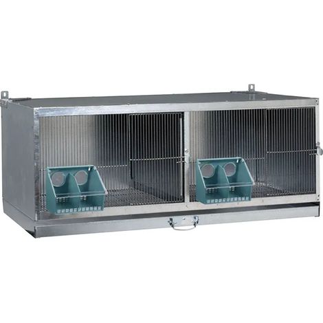 Cage d'élevage pour pigeons métal galvanisé (1/3)