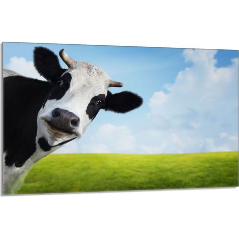 Glasschutzplatte für den Herd 80x52 Kuh (1/5)
