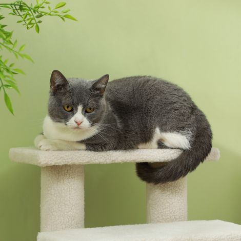 Escalier pour animaux PawHut, 4 marches, rampe pour chat et chien, marches en tissu doux, 61 x 41 x 60 cm, blanc crème