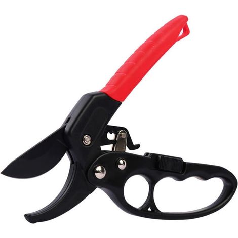 Cisailles de Jardin Haute Performance - Lames Acier Inoxydable Anti-Rouille - Design Ergonomique - Cadeau Parfait