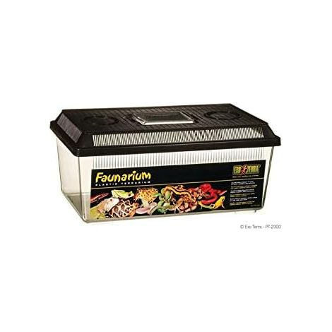 1 Faunarium En Plastique Grand Format Pour Reptiles Et Amphibiens Terrarium