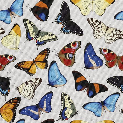 Telas decorativas para exteriores Oxford - Colección con motivo de mariposas I DX435 (1/5)