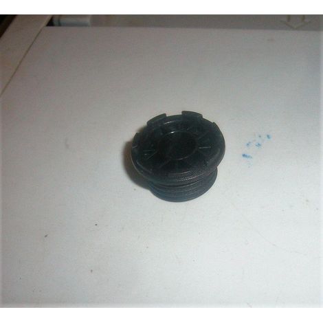 VITE SENZA FINE POMPA OLIO MOTOSEGA EFCO OLEMAC EMAK 50050025 136 137 140 141