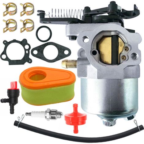 793493 792038 Carburateur 591852 793463 100602 100802 carburetor-KZQ (1/4)