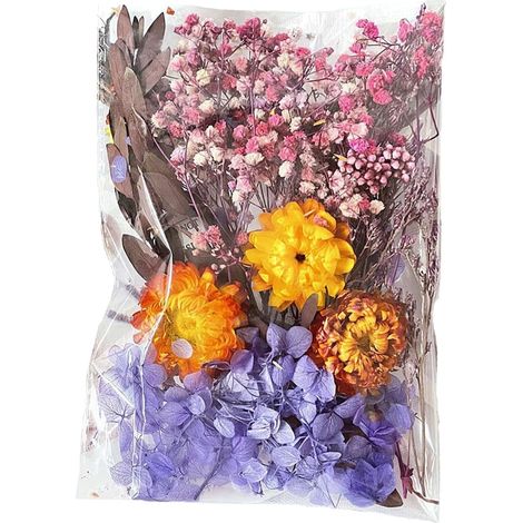 Flores moradas secas naturales, ideales para scrapbooking, velas, proyectos de bricolaje, resina epoxi y manualidades florales.