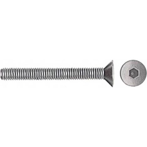 SC VITI P/BUSSOLA TSP. ESAG INC 6MA 50 MM 10 PZ