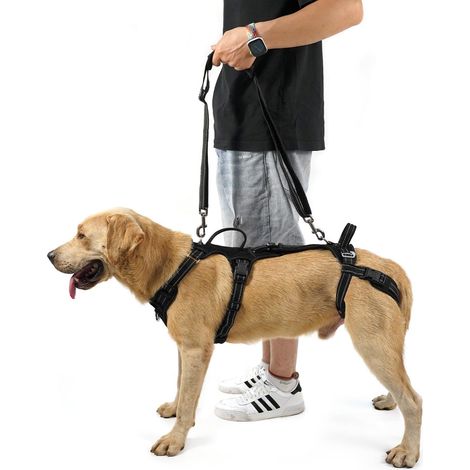 Élingue pour Soutien des Pattes Arrières de Chien - Aide Post-Chirurgie ACL/TPLO (1/5)