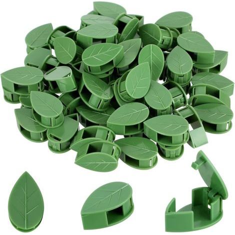 60 supports pour plantes grimpantes, fixations murales invisibles, supports d'intérieur - Crezuo (1/4)