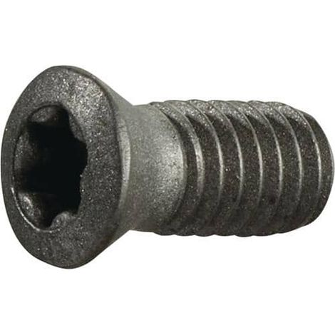 TECWERK Spannschraube Gr.T15 f.TCGX 1635 M4 Gewinde-L.9mm z.Fasenfräser TECWERK (1/2)