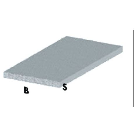 PROFILO ARGENTO H.200 PIATTO 20X2 * ARCANSAS PZ 5,0