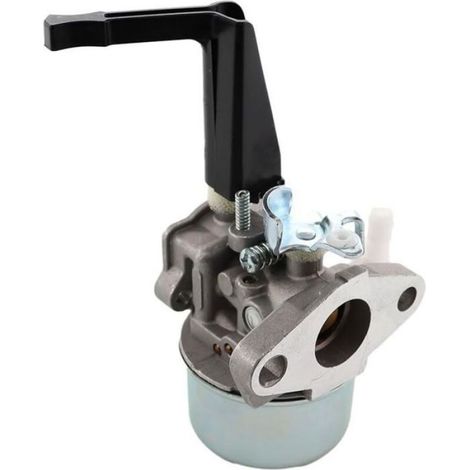 Carburateur - Filtre À Carburant - Bougie D Allumage - Pour Moteur Briggs Stratton 696065 697422 110412 110402 215369 - Kit Complet ×1 (1/4)