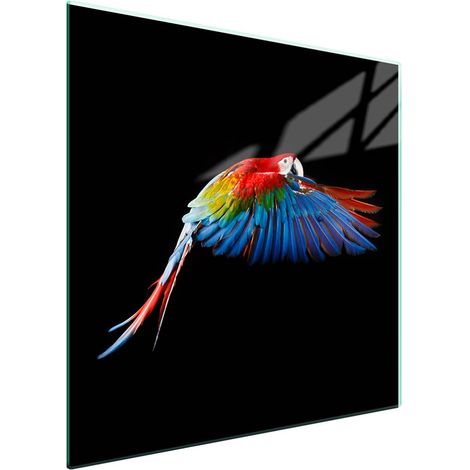 Protezione in vetro per piano cottura 50x52 Parrot (1/5)