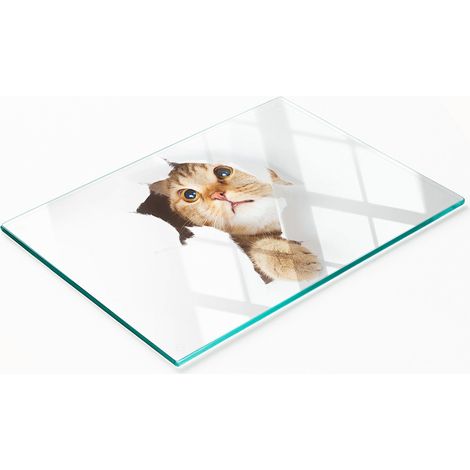 Pannello decorativo multifunzionale in vetro temperato con gatto nella tana, 80x52 cm (1/5)